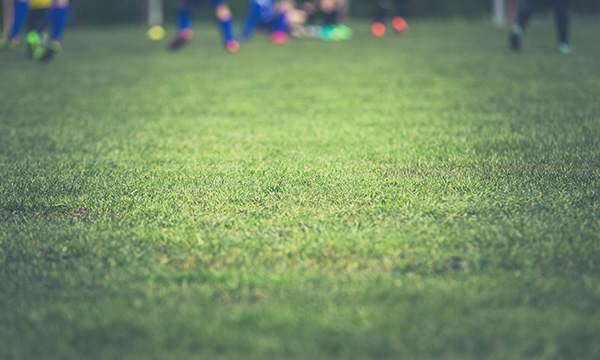 減稅降費(fèi)助力耀華玻璃跑出科技創(chuàng)新“加速度”